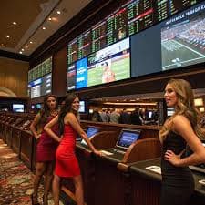 xxbet
